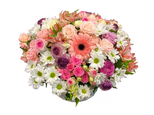 Сутейра