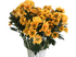 Бакарди оранж